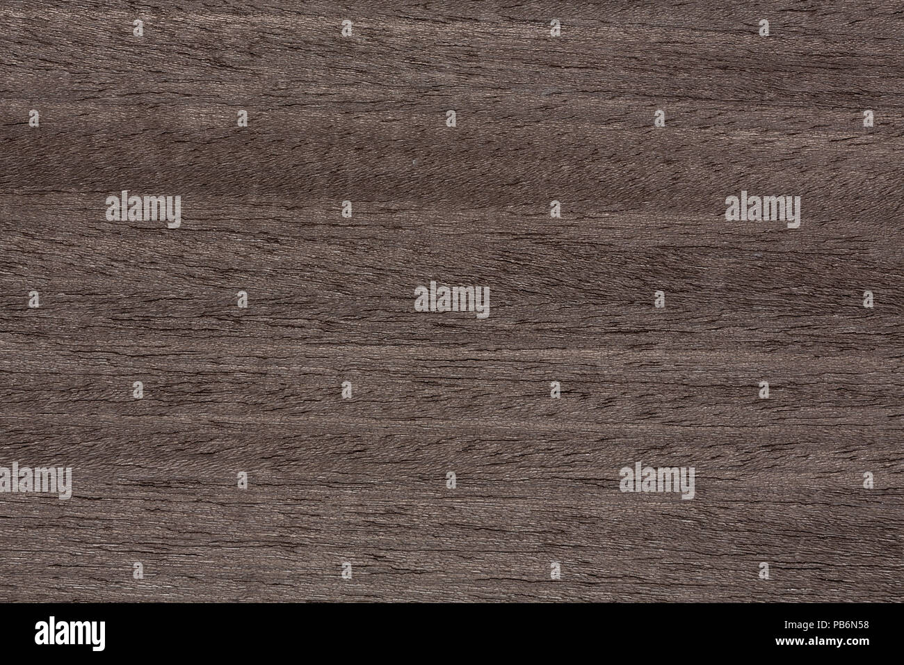Exquisite veneer texture in ideal grey colour. Stock Photo