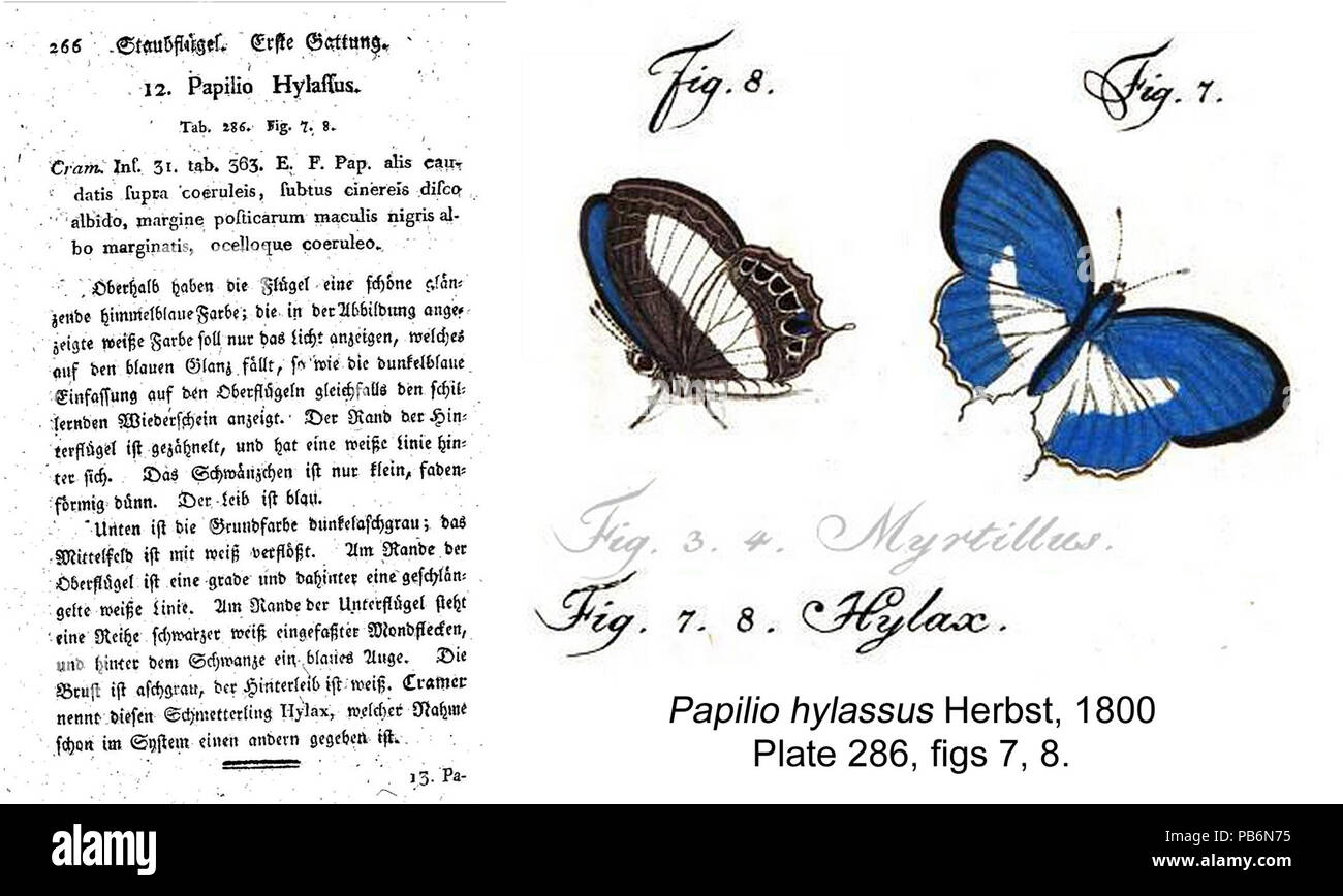 1167 High Resolution Stock Photography and Images - Alamy