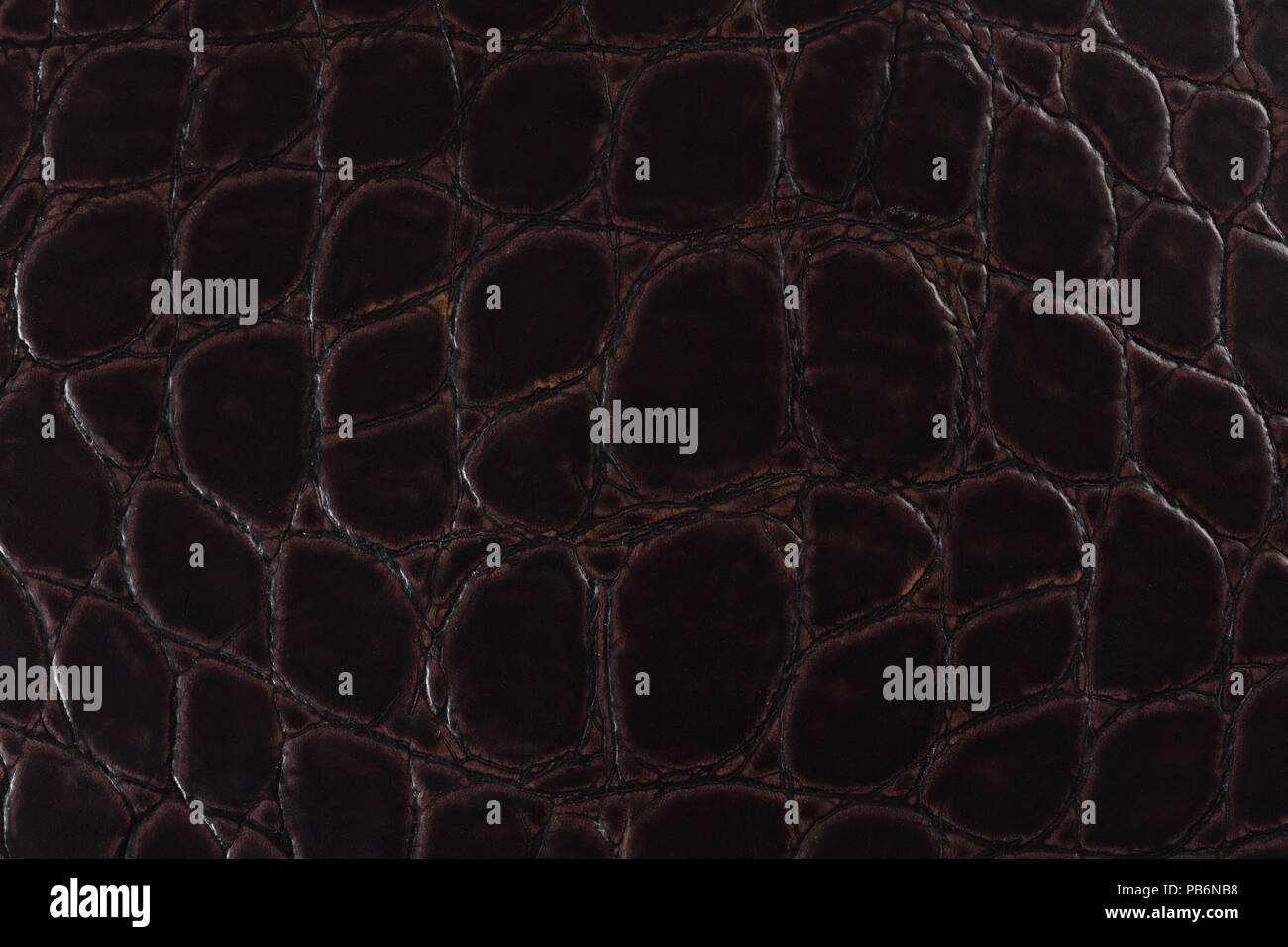 Crocodile dark skin leather texture. Stock Photo