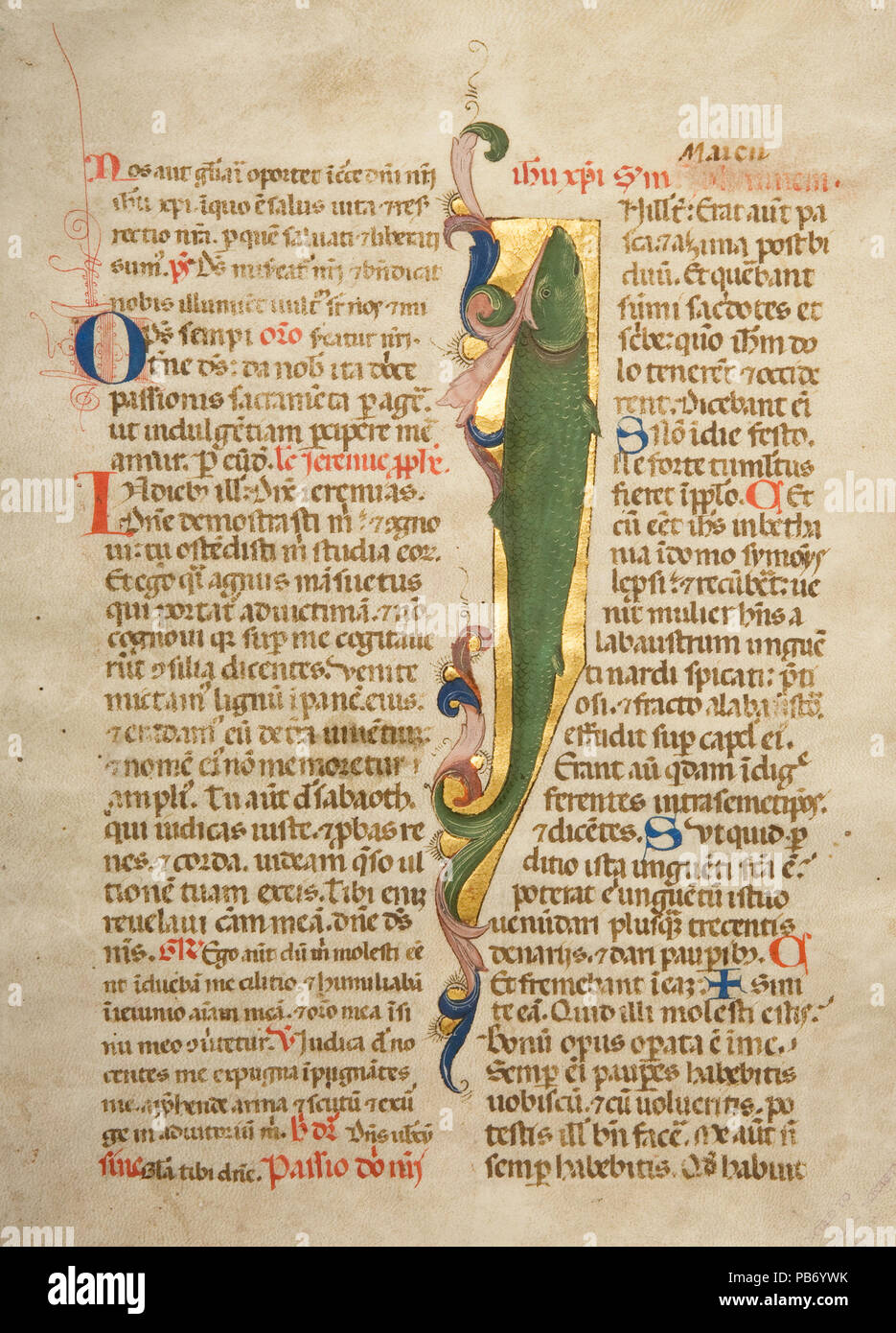 788 Illuminated manuscript- Missal bifolium from Florence, Italy, with fish on gilt ground on recto, ca. 1450-1470 Stock Photo