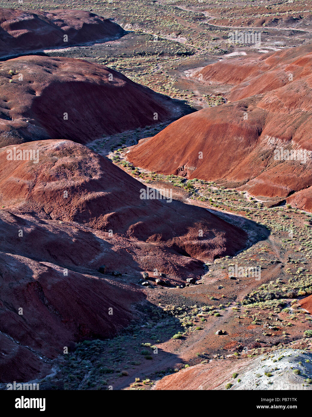 Winding valley in the Painted Desert, Arizona, USA Stock Photo