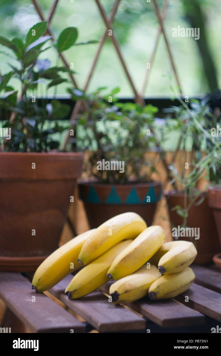 A bunch of ripe yellow bananas on a wooden table on a terrace. Selective focus Stock Photo