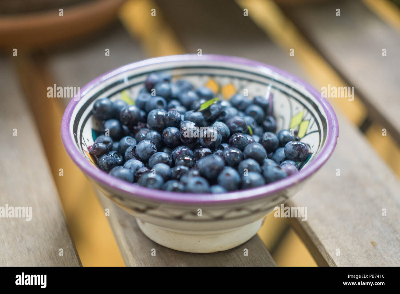 Ripe forest blueberries (bilberry, whortleberry, blaeberry, huckleberry) in a patterned bowl. Close-up Stock Photo