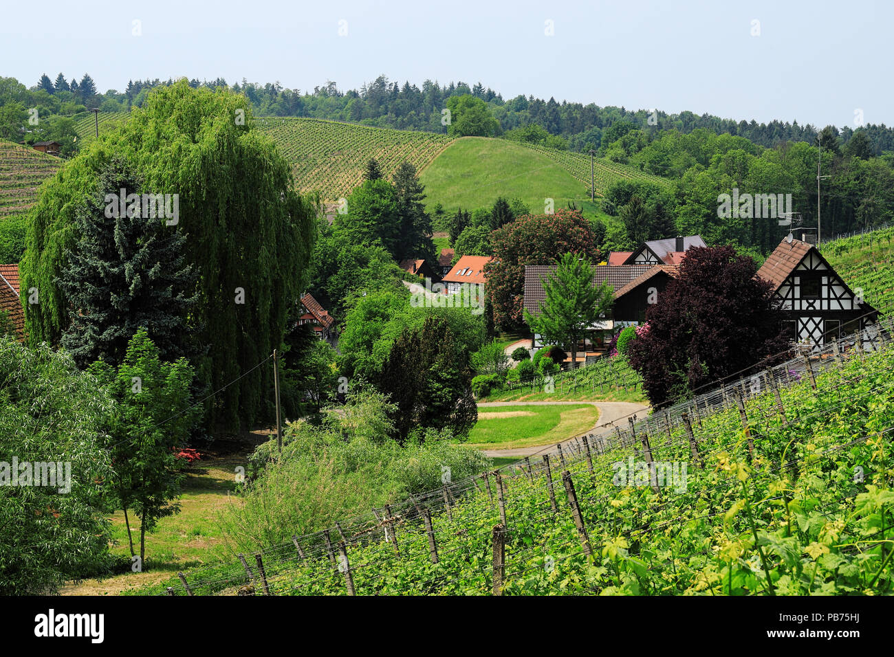 Landscape around Sasbachwalden in the Black Forest in spring 2018, Germany Stock Photo