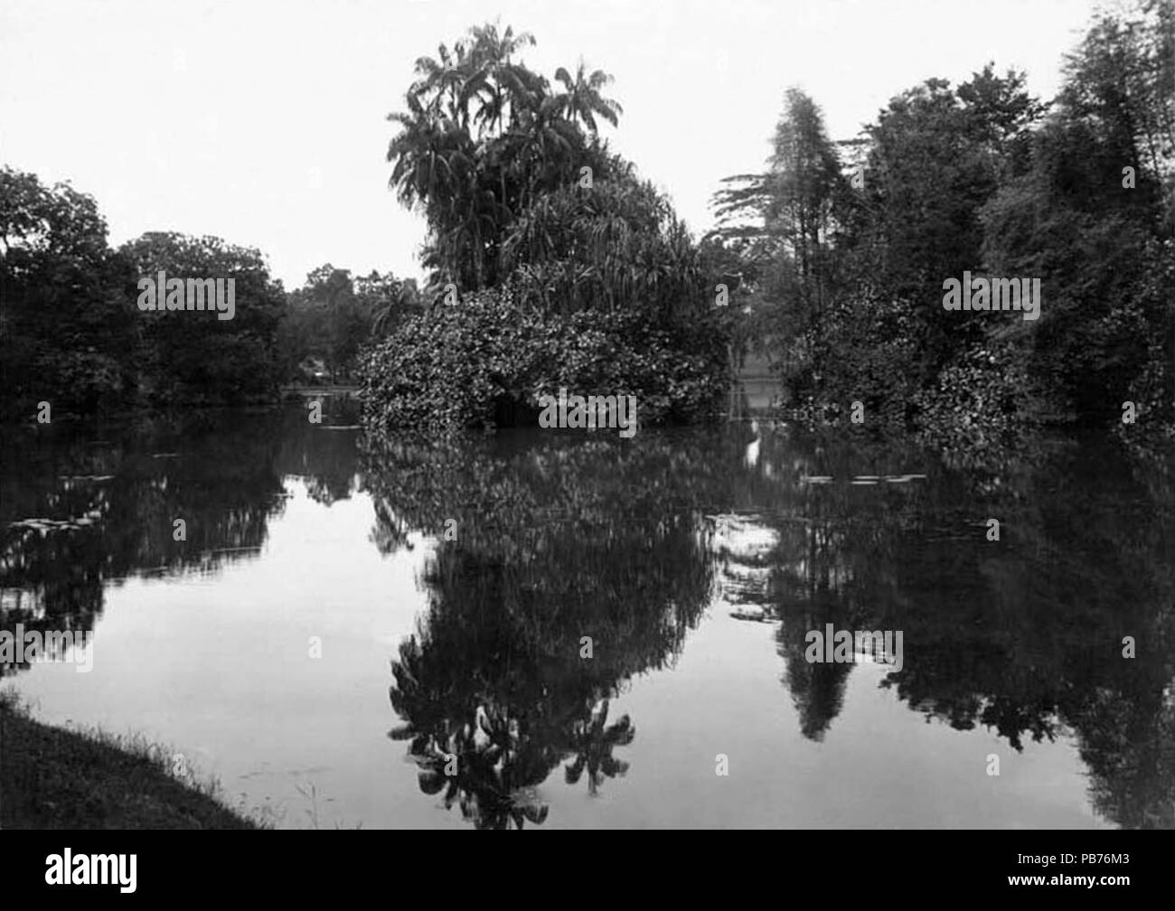 1554 Souvenir of Singapore, 1914 Plate 09 Botanical Gardens Stock Photo Alamy