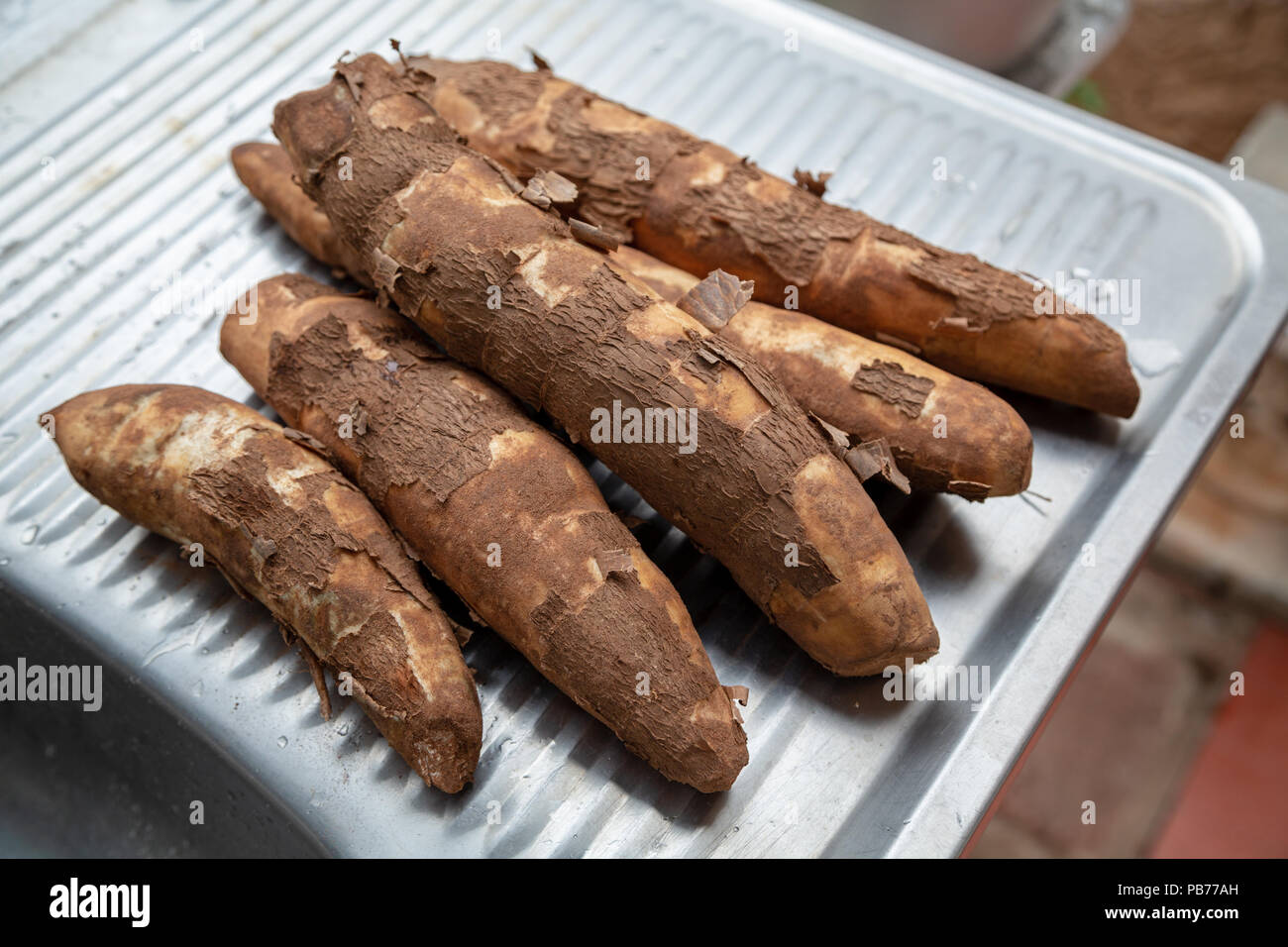 Cassava (Manihot esculenta) (Spanish: mandioca, Guarani: mandi'o),  unprocessed roots on washing sink, outdoors, Asuncion, Paraguay Stock Photo  - Alamy