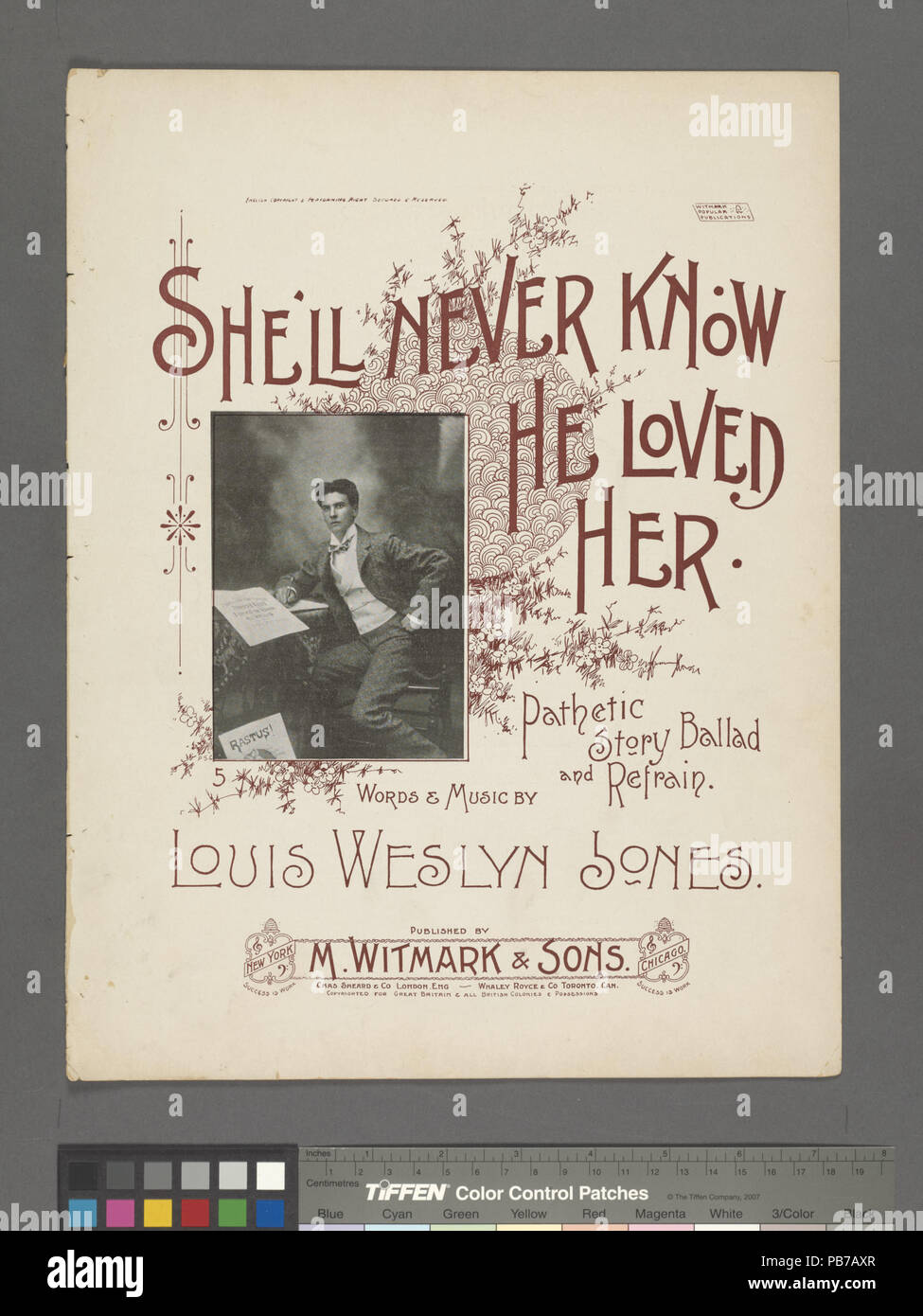 1313 She'll never know he loved her (NYPL Hades6102091255962 Stock