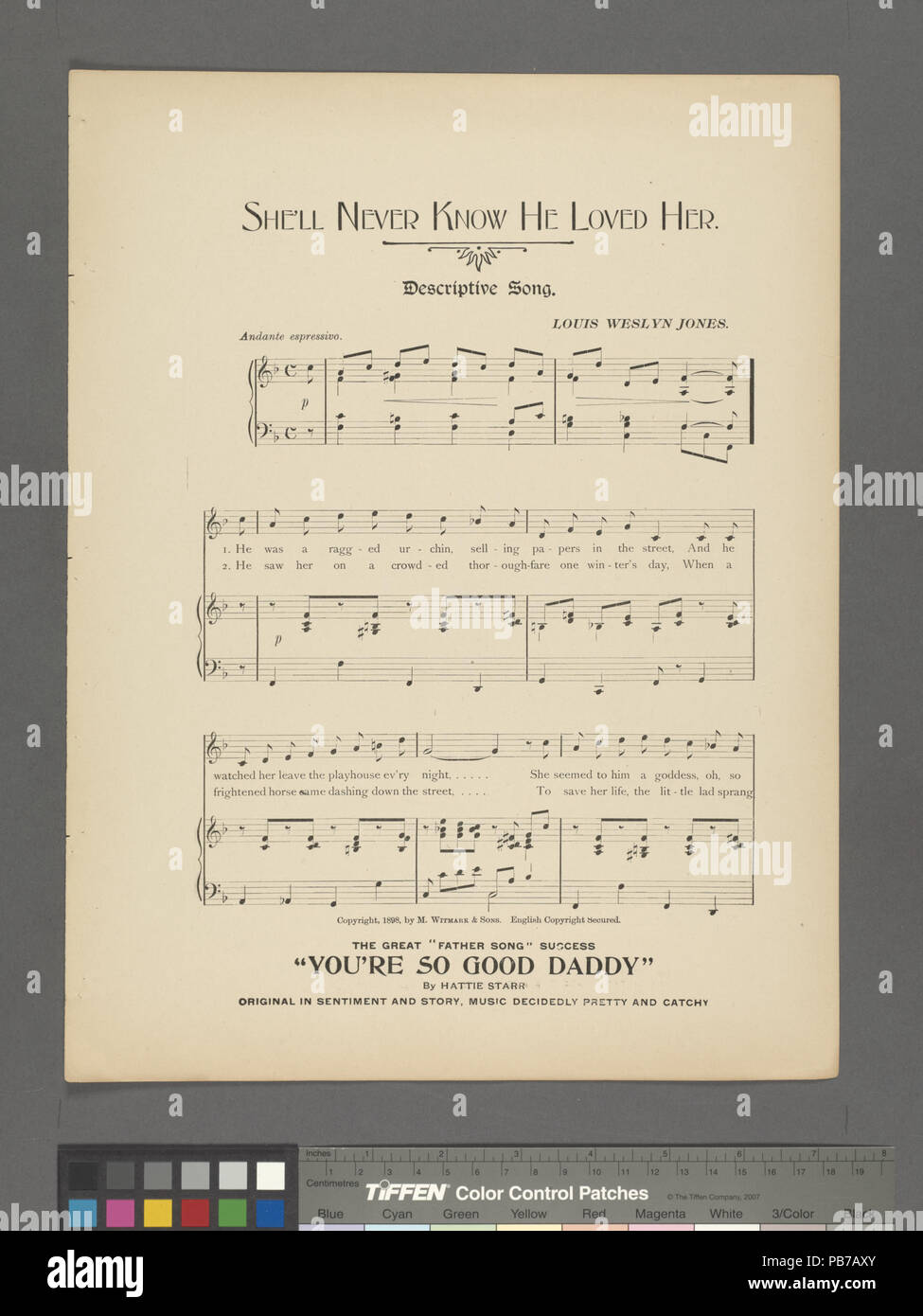 Shell Never Know Shell library hi-res stock photography and images - Alamy