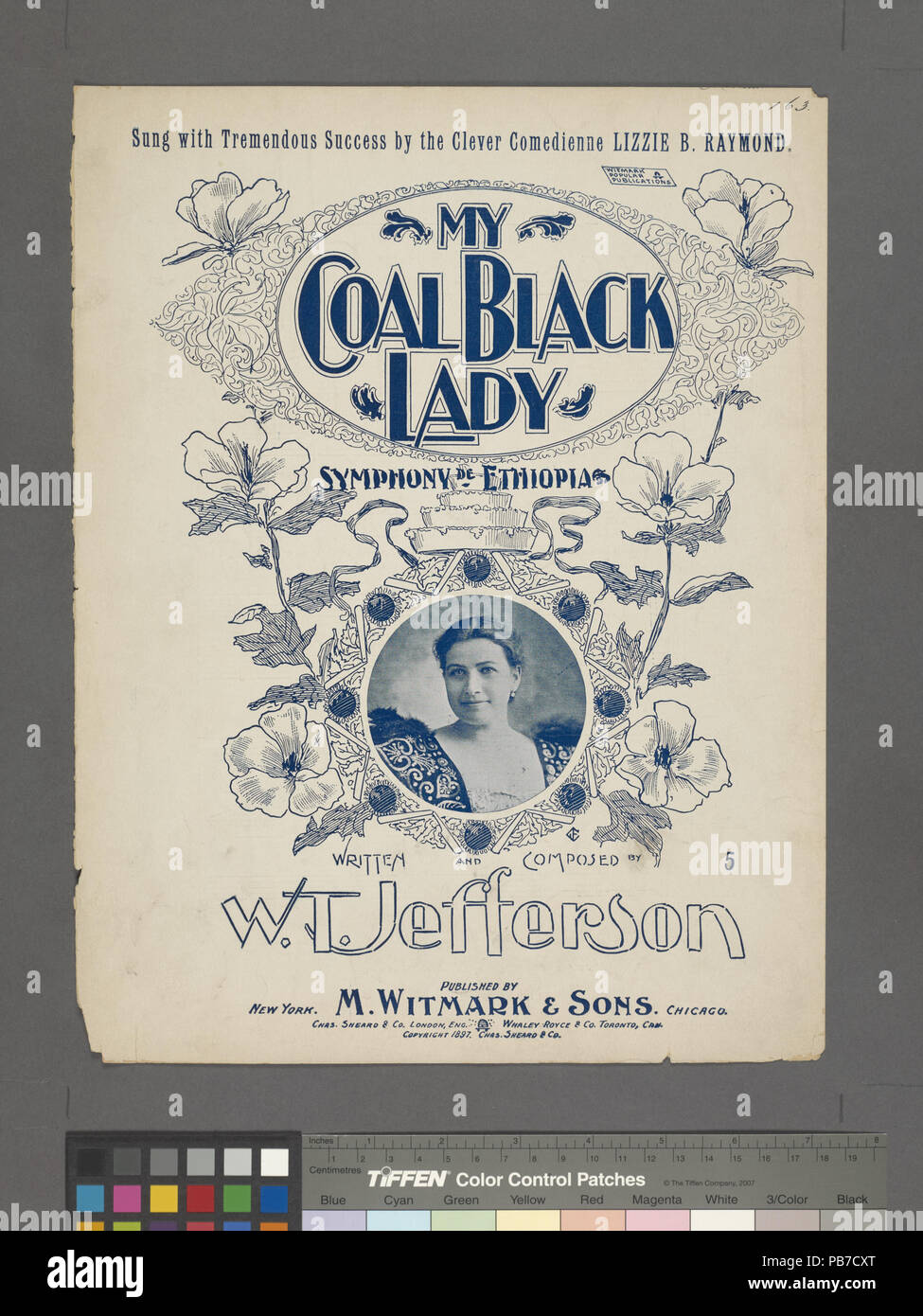 1074 My coal black lady (NYPL Hades-464228-1166002) Stock Photo