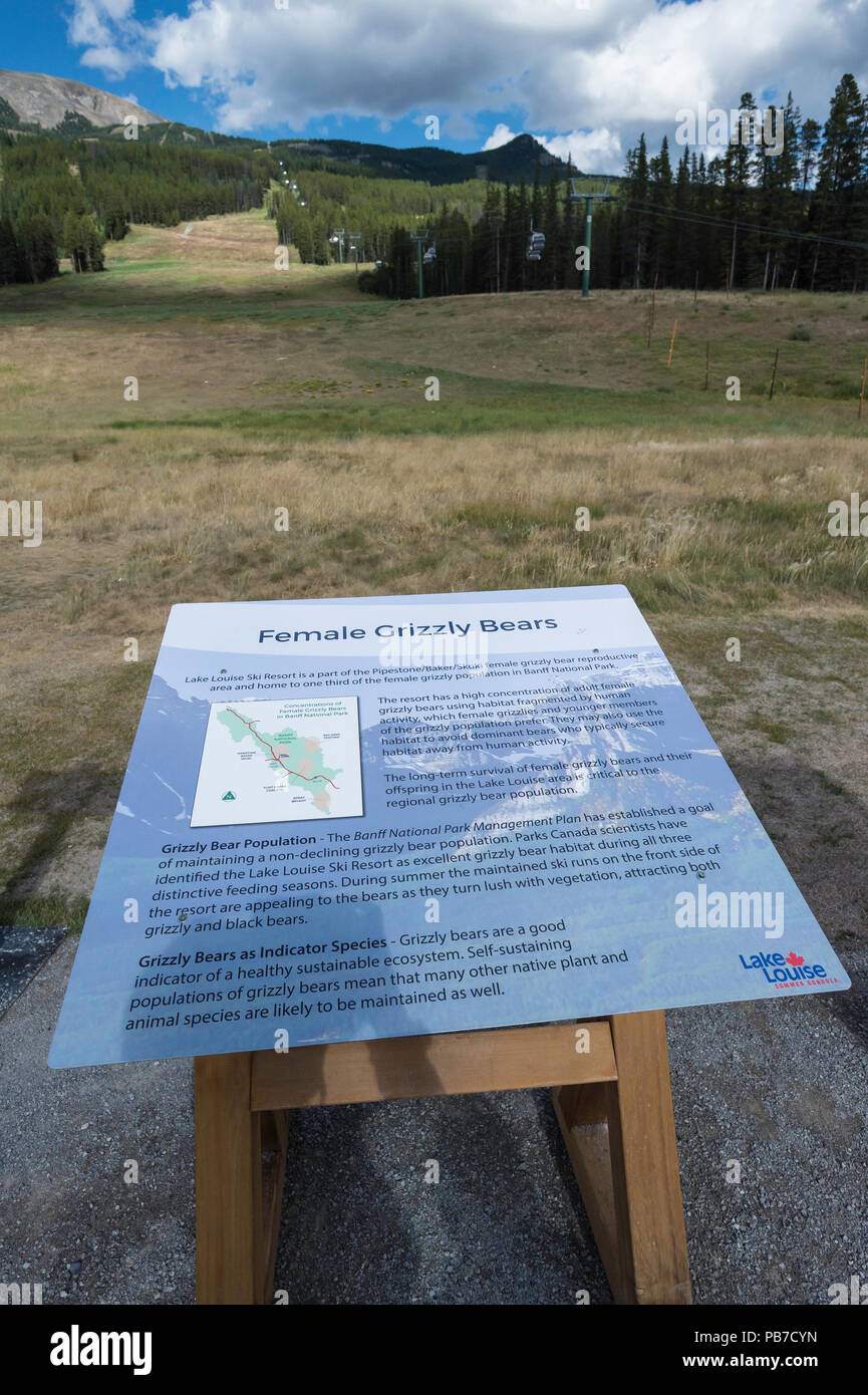 Lake Louise ski hill, summer, grizzly bear signage, Banff National Park