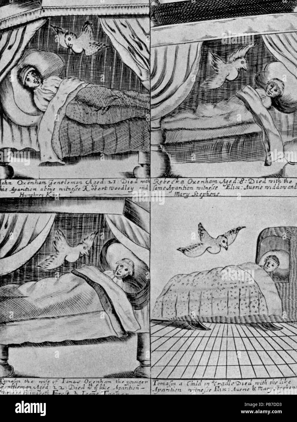 1616 THE BIRD OF THE OXENHAMS - Devonshire characters and strange events Stock Photo