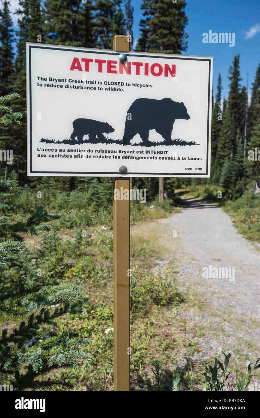 Bear safety sign, Spray Valley Provincial Park, Kananaskis, Alberta, Canad Stock Photo
