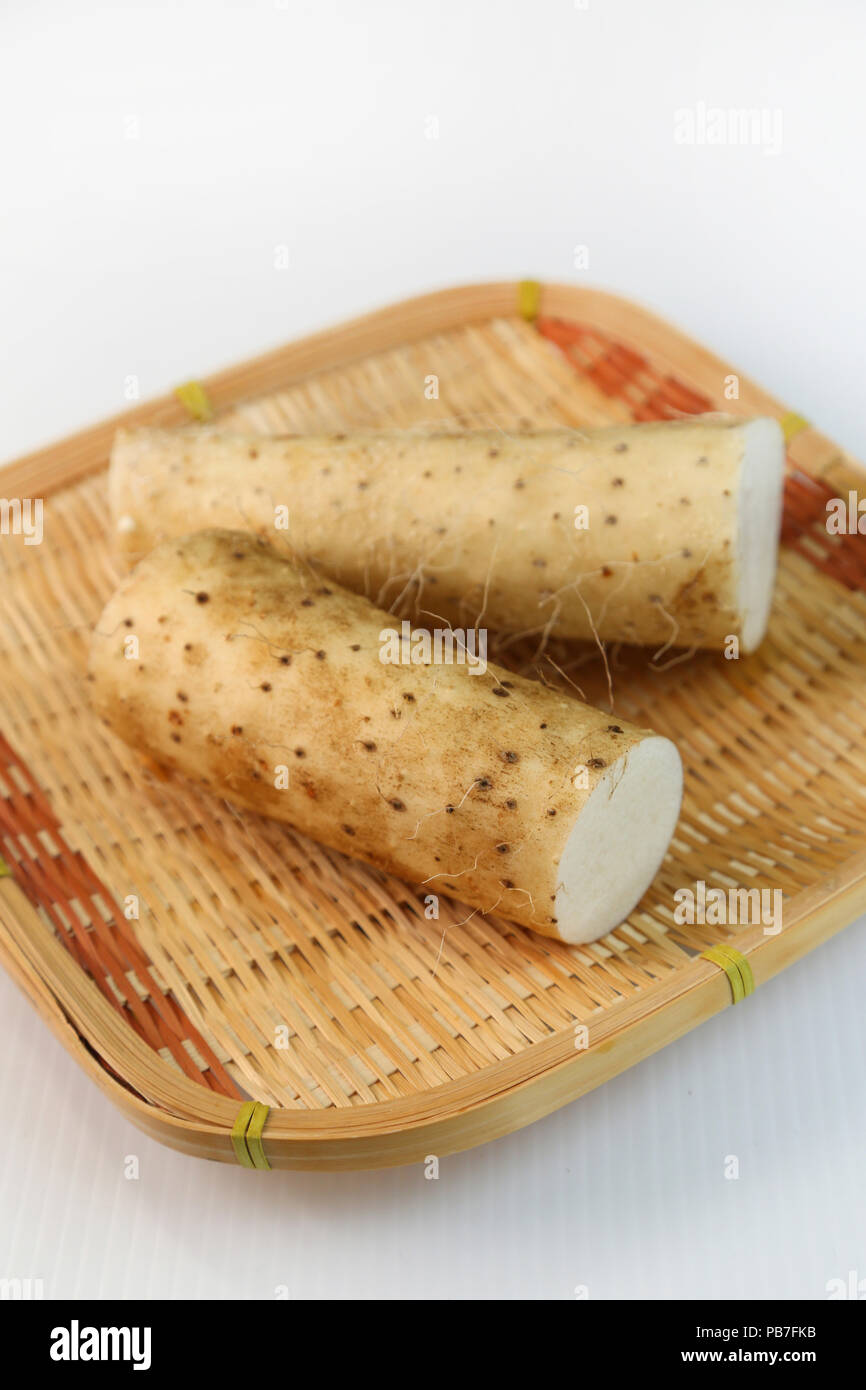 Yam roots hires stock photography and images Alamy