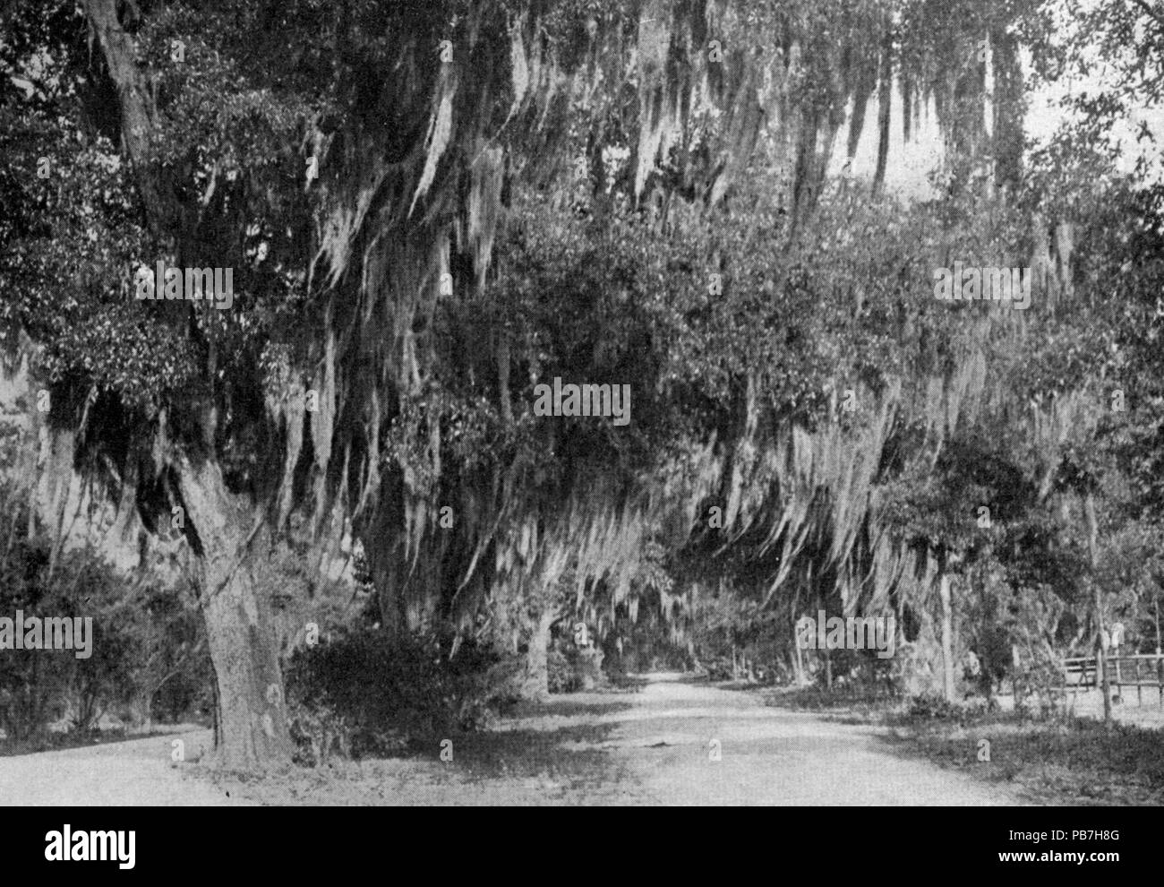 Bonaventure cemetery Black and White Stock Photos & Images Alamy
