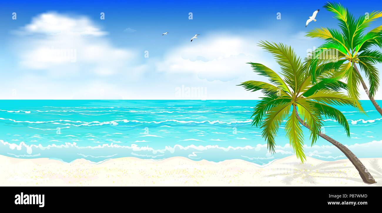 Landscape of the tropical shore. Landscape of the sea shore with palm trees. Sea shore with palm trees, blue sky and white clouds. Palm trees against  Stock Vector