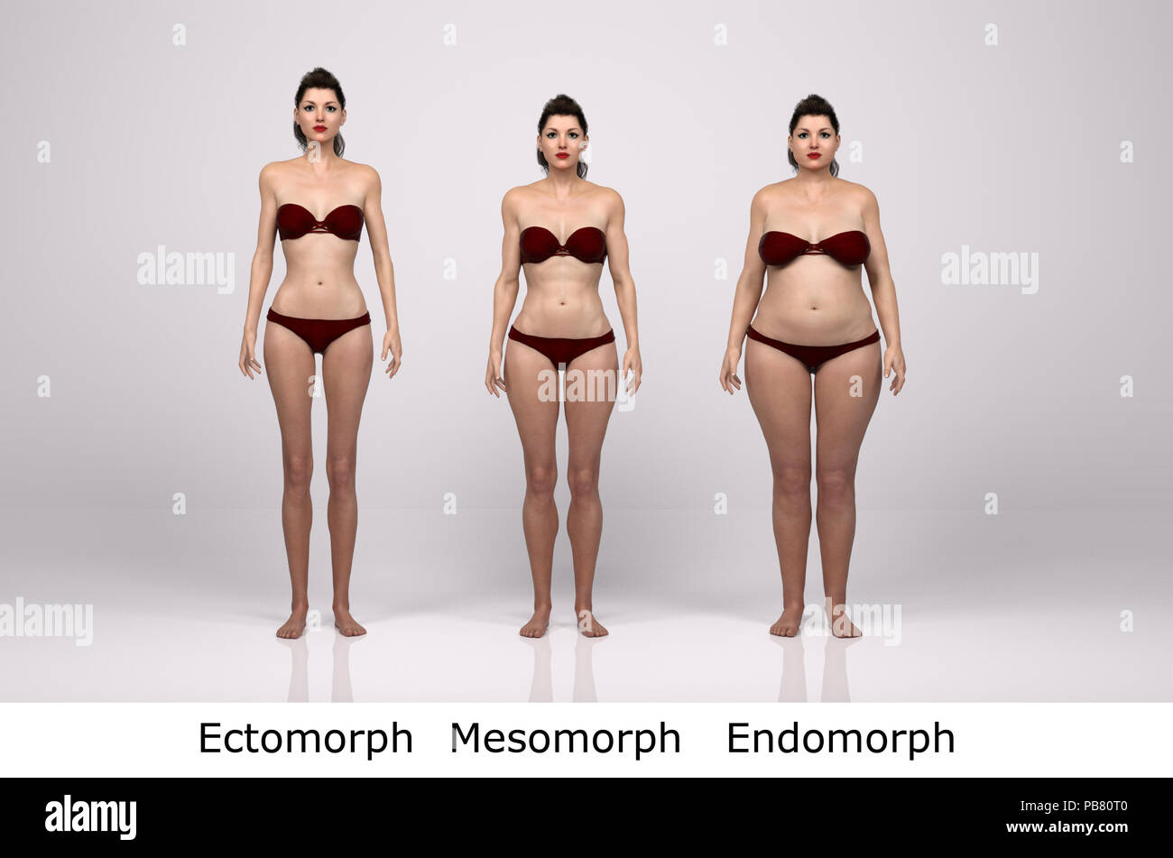 3D Rendering : standing female body type illustration : ectomorph (skinny  type), mesomorph (muscular type), endomorph (heavy weight type), Front View  Stock Photo - Alamy
