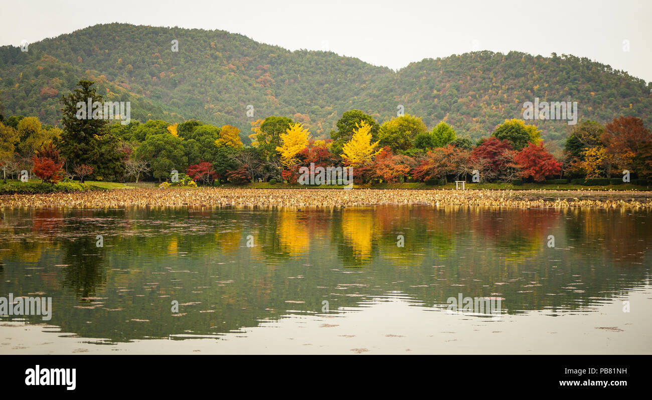 Lake scenery with autumn trees in Kyoto, Japan. Stock Photo