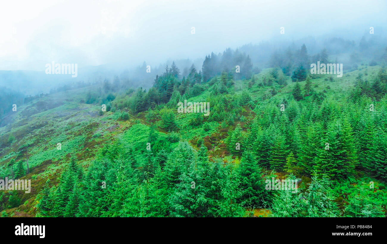 Typical views in the Scottish Highlands - aerial drone footage Stock Photo