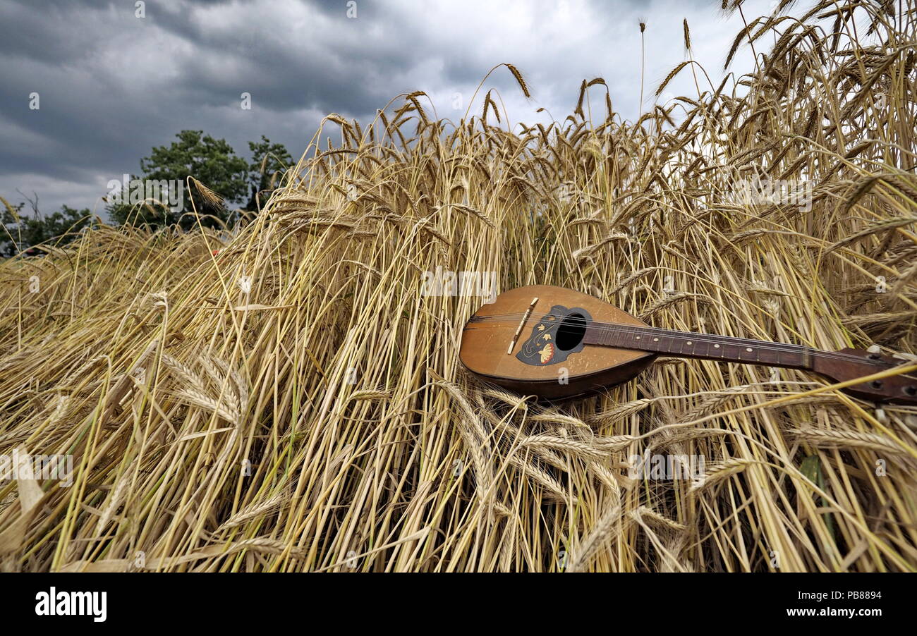 https://c8.alamy.com/comp/PB8894/italian-mandoline-on-wheat-PB8894.jpg