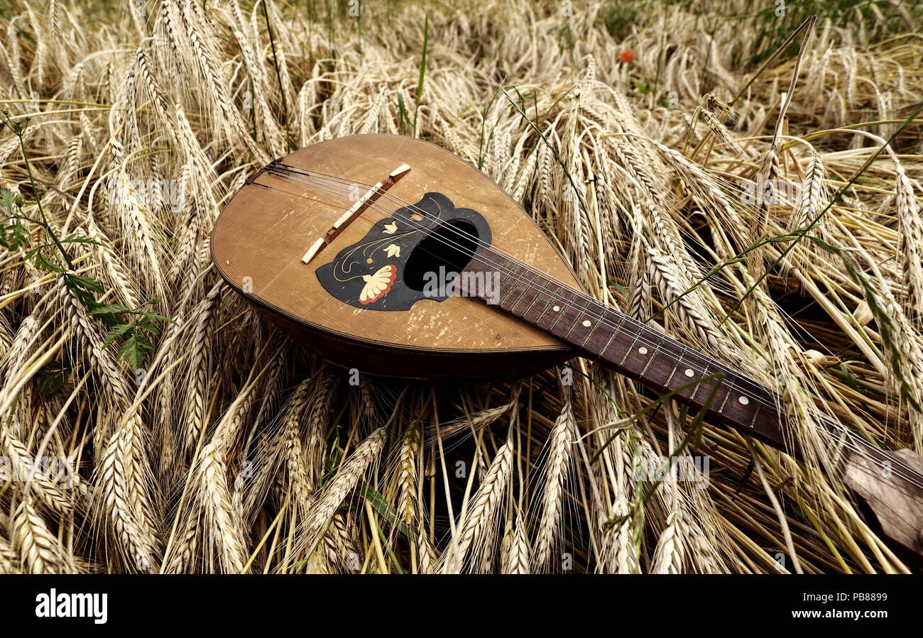 Italian mandoline on wheat Stock Photo