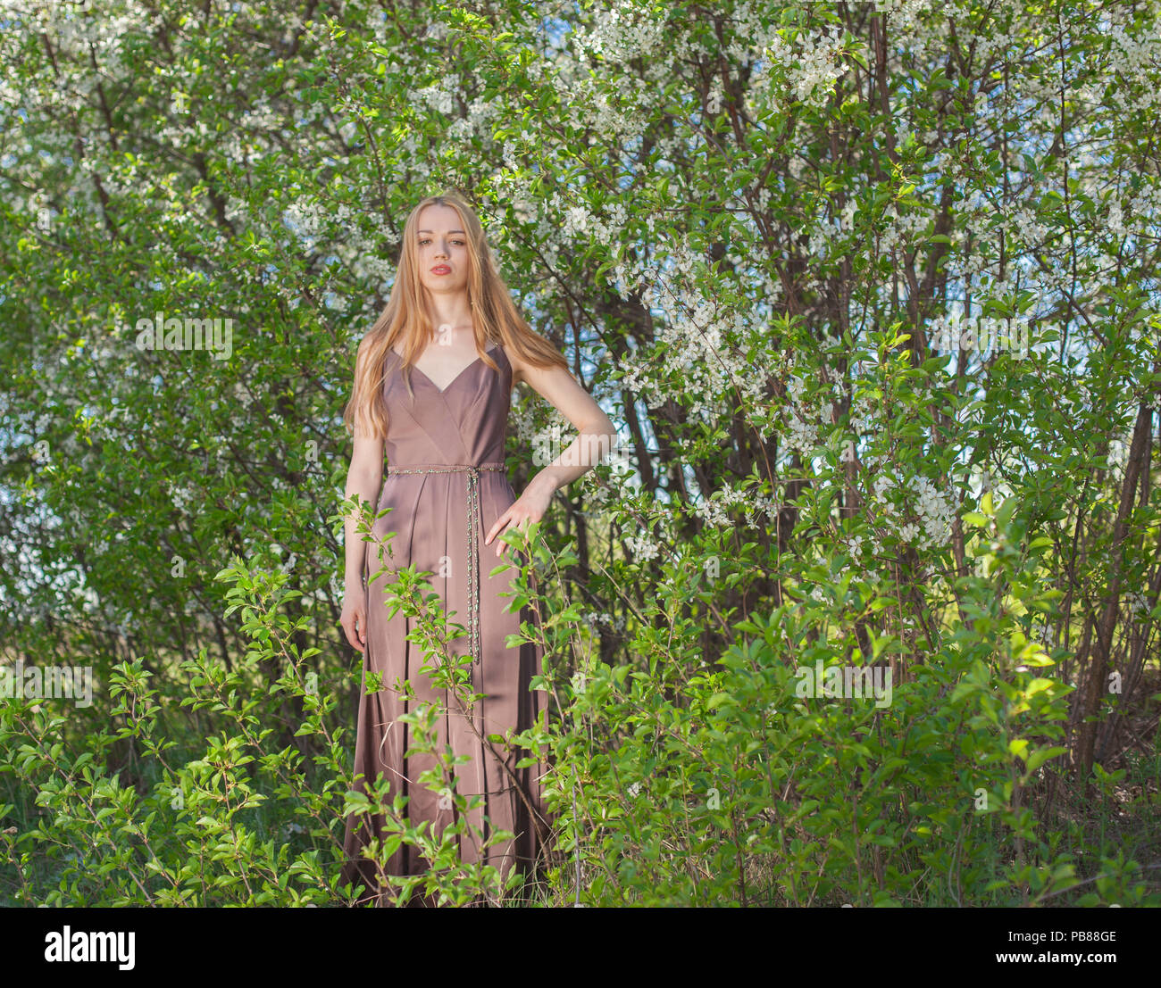beautiful girl in a summer dress surrounded by a blossoming tree Stock Photo