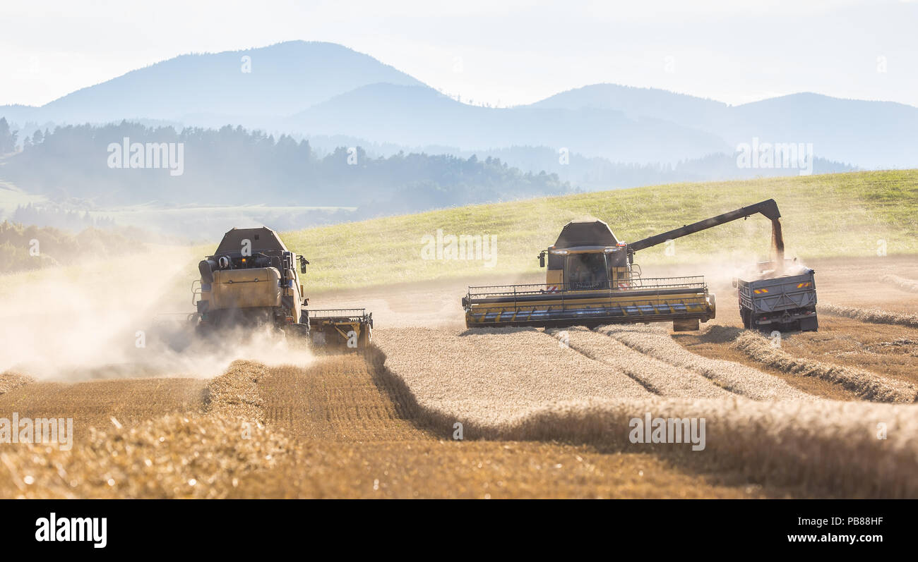 Combine harvester in work on wheat field Stock Photo - Alamy