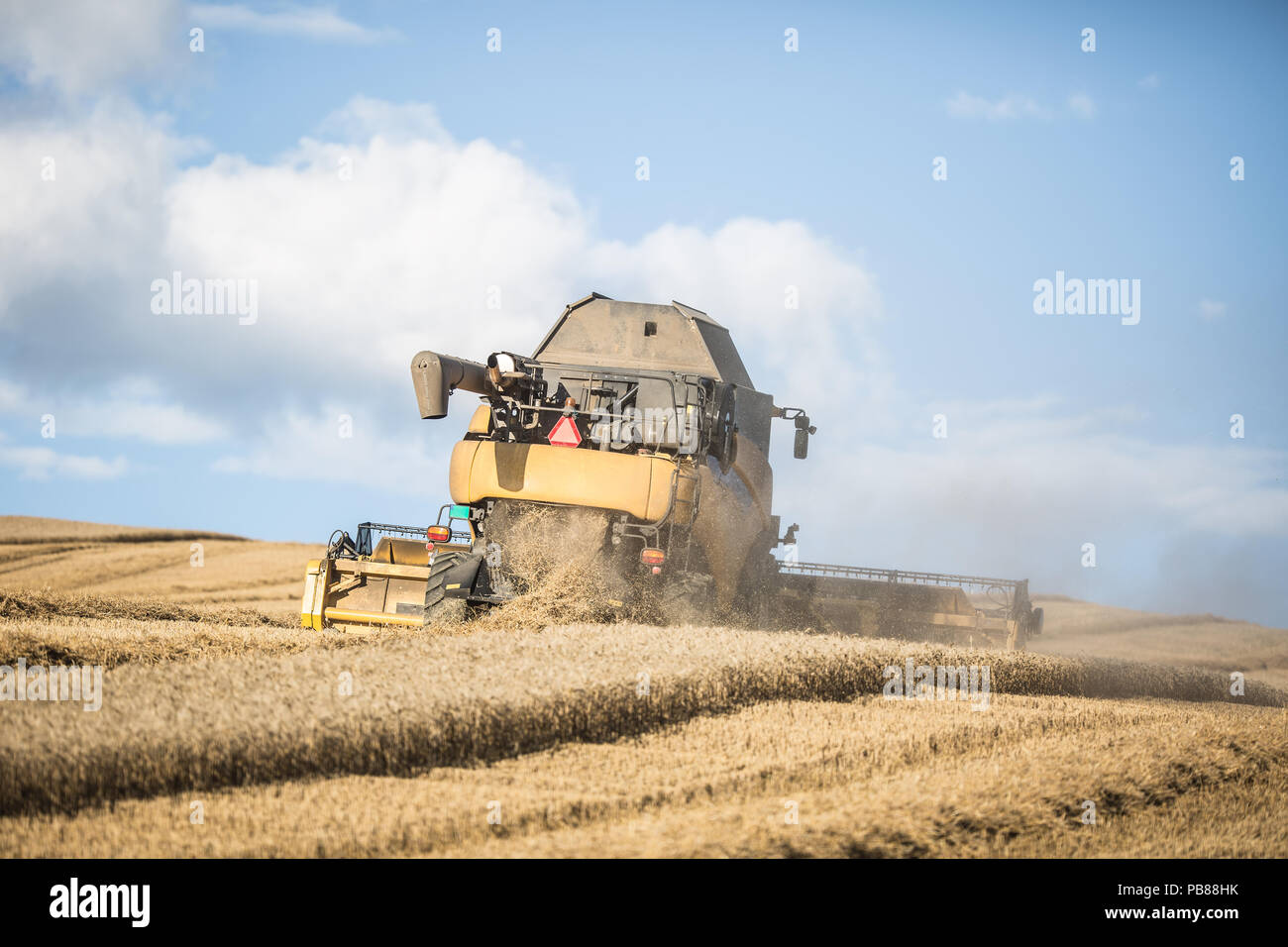 Combine harvester in work on wheat field Stock Photo - Alamy
