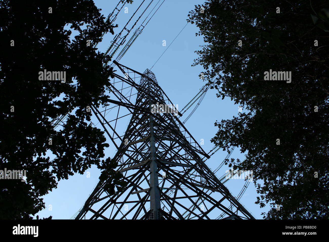 Electricity Power Pylon between two trees Stock Photo Alamy