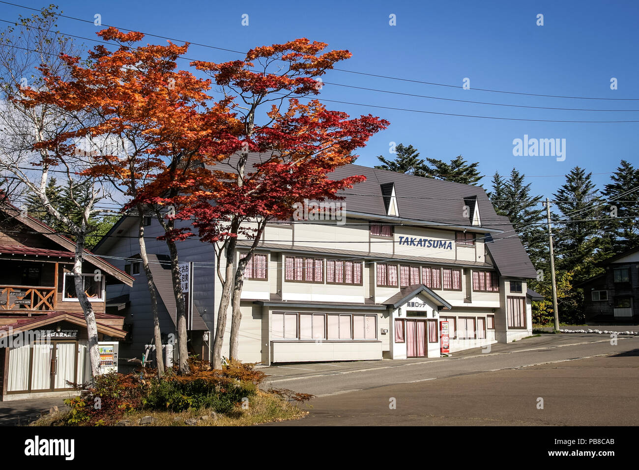 Beautiful Japanese Maple Tree in the glorious color that denotes the Fall Season or Autumn with a contrasting blue sky. A beautiful street scene durin Stock Photo