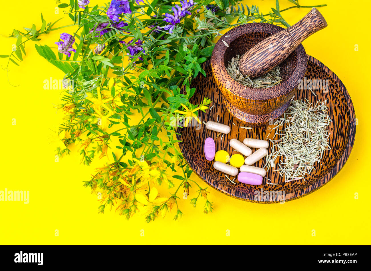 Herbal medical pills, capsules from medicinal plants. Studio Photo