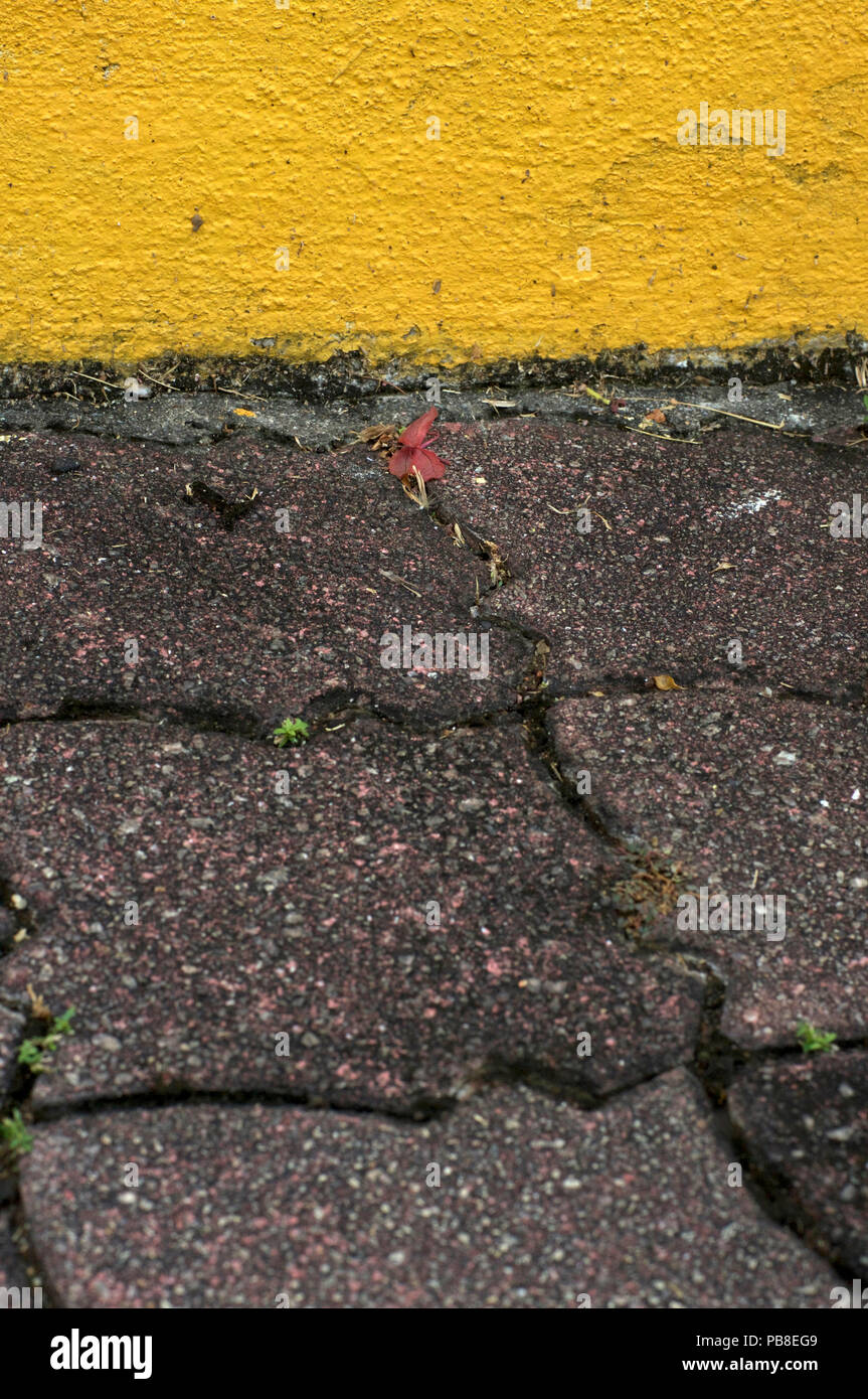 Yellow brick road hi-res stock photography and images - Alamy