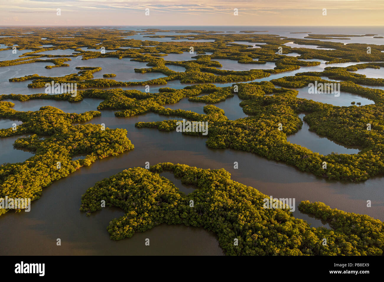 Mangove Islands, aerial shot, Ten Thousand Islands, Everglades National Park, Florida, USA, January 2015. Stock Photo