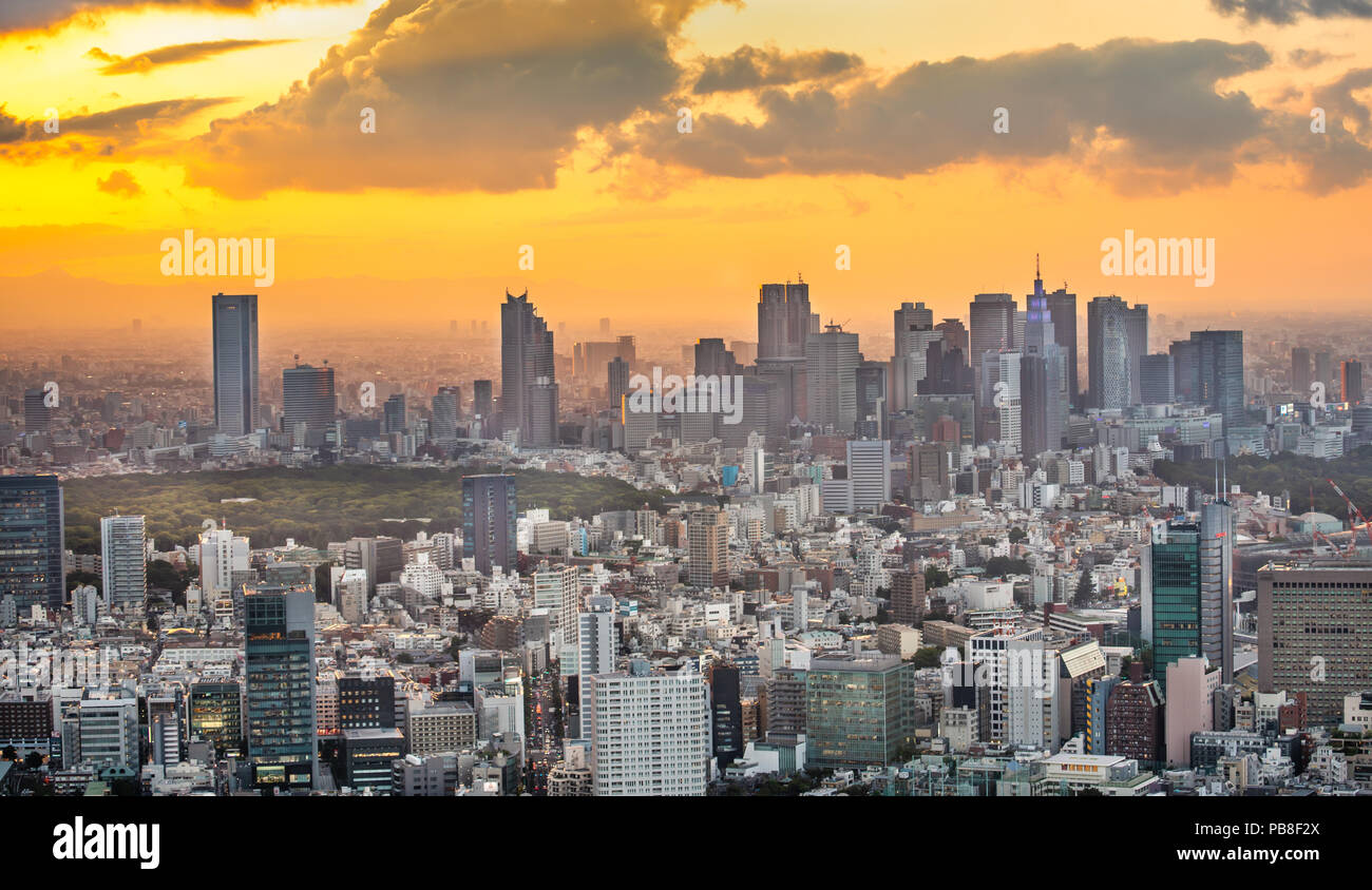 Japan, Tokyo City, Shinjuku skyline, sunset Stock Photo