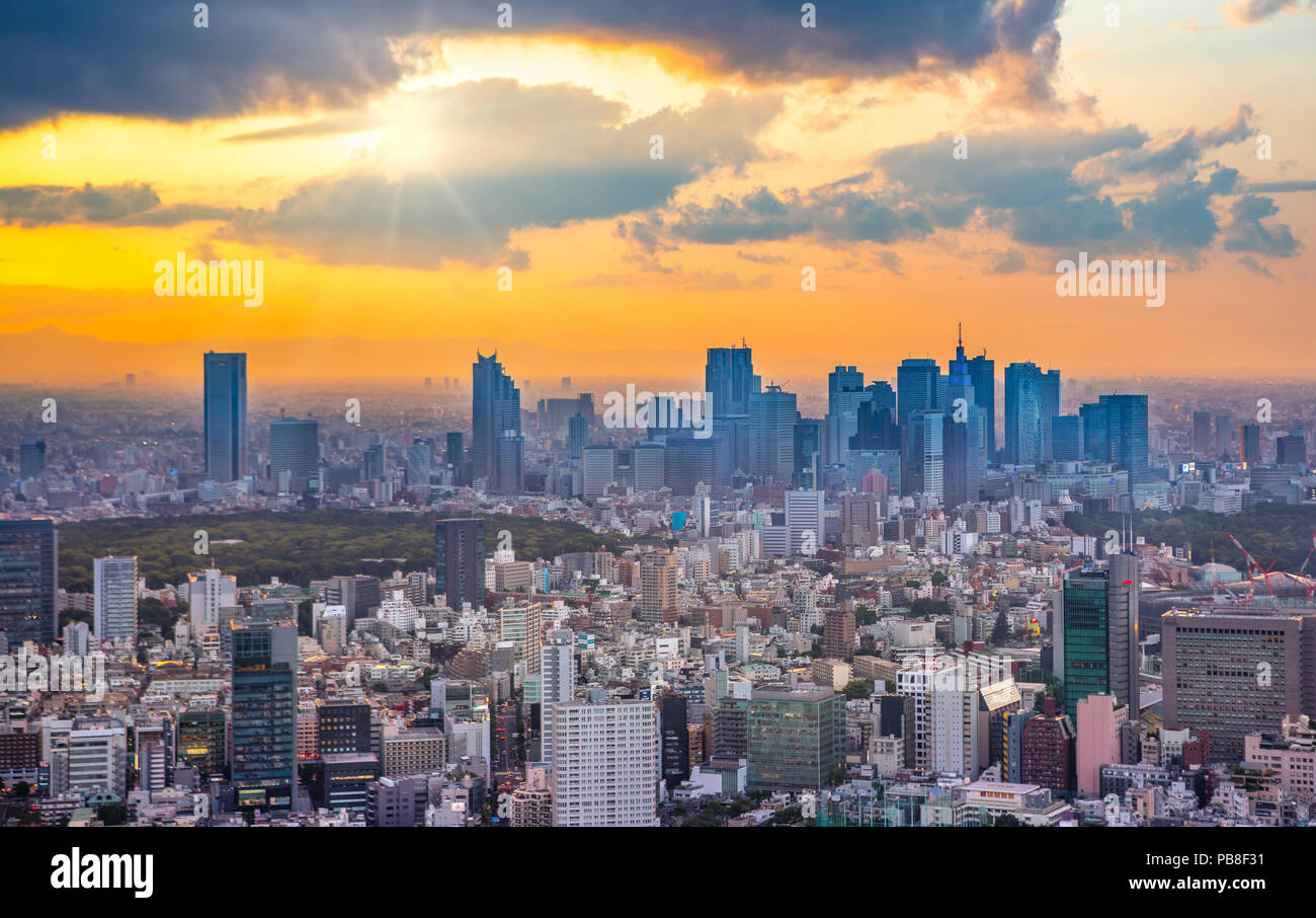 Japan, Tokyo City, Shinjuku skyline, sunset Stock Photo