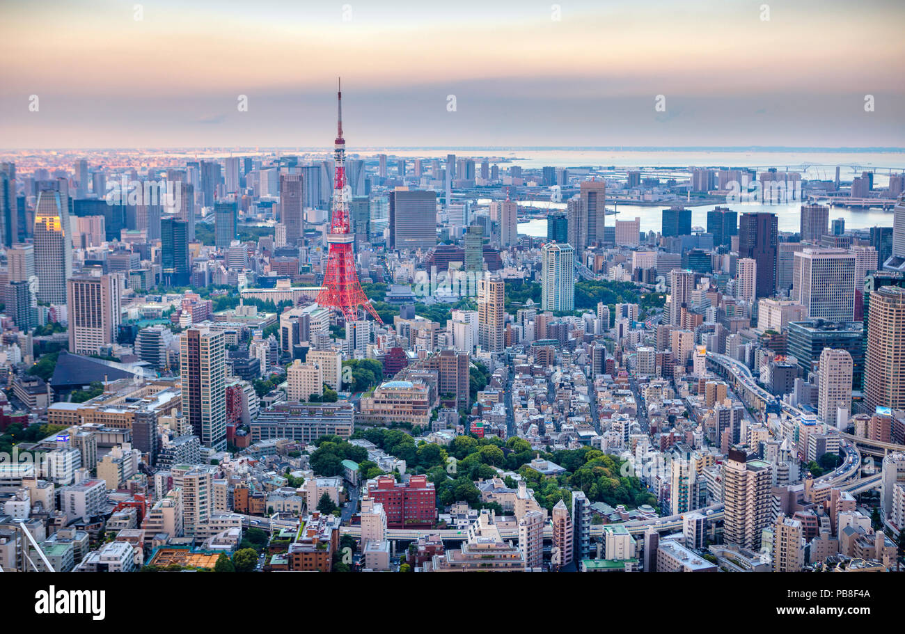 Japan, Tokyo City, Minato Ku Panorama, Tokyo Tower Stock Photo
