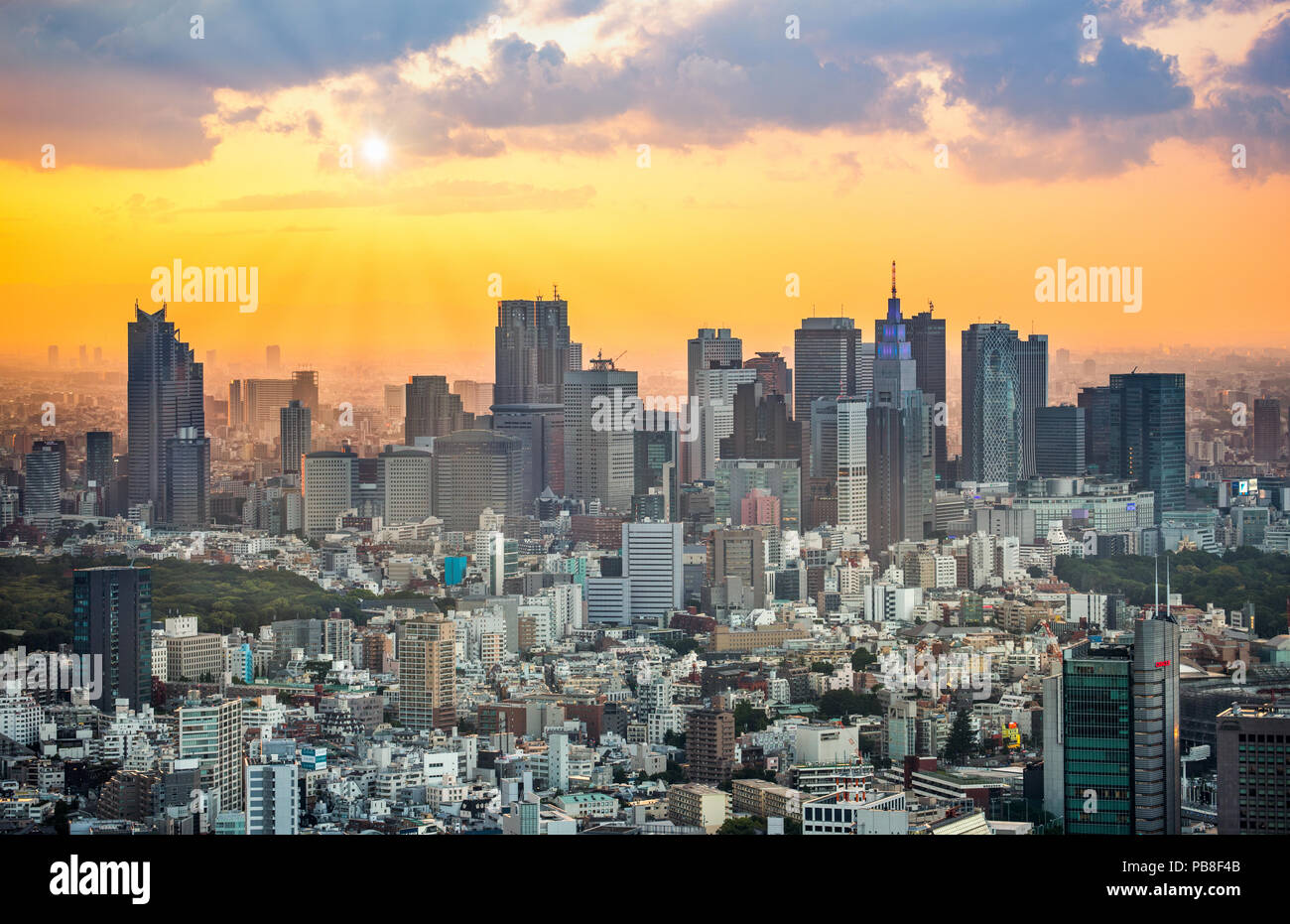 Japan, Tokyo City, Shinjuku skyline, sunset Stock Photo