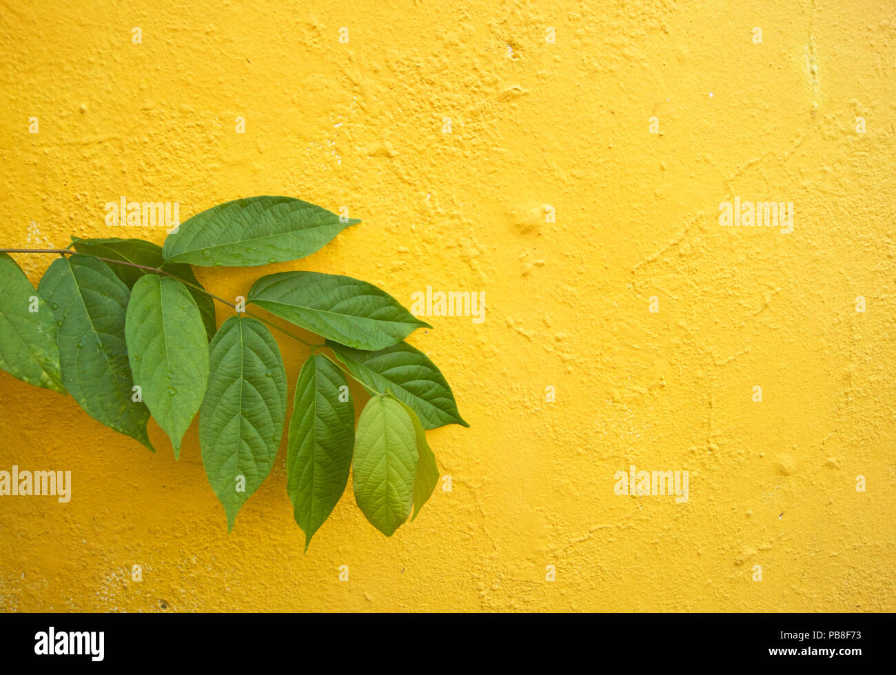 Yellow wall design hi-res stock photography and images - Alamy