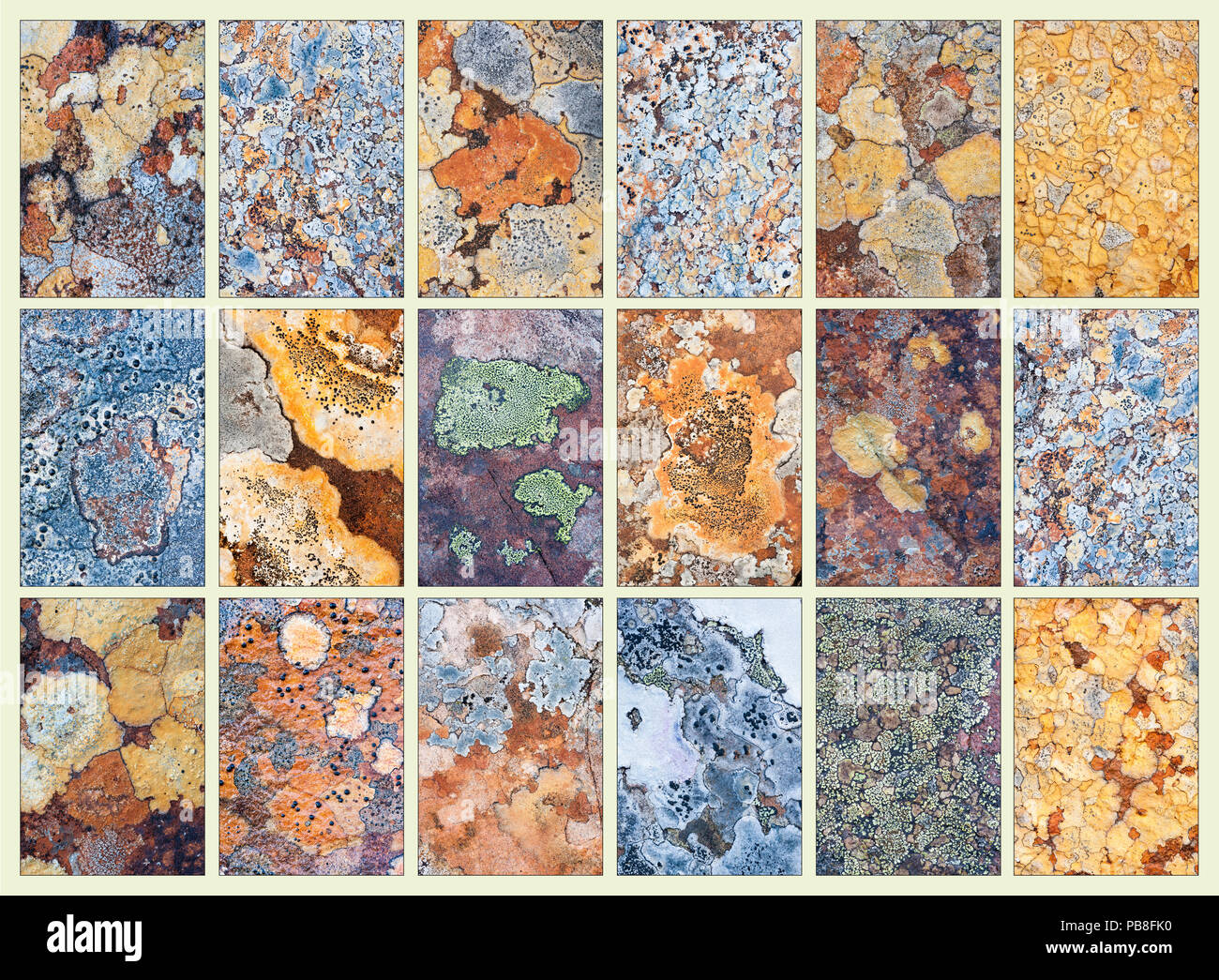 Composite photograph showing diversity of  pattern in  lichens growing on rock Stock Photo