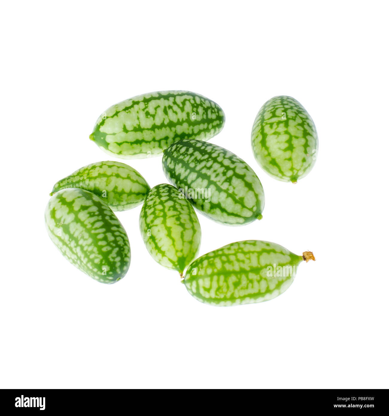 Melothria scabra, mouse melon sweet delicious vegetable, mexican fruit, plant leaves. Studio Photo Stock Photo