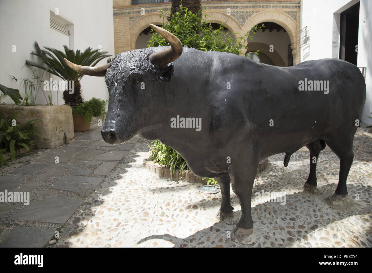 June 12 18 Ca Rdoba Spain Bull In The Taurine Museum Of Cordoba Ca Rdoba Was The Capital Of The Later Hispania In The Times Of The Roman Republic Or Of The Betica