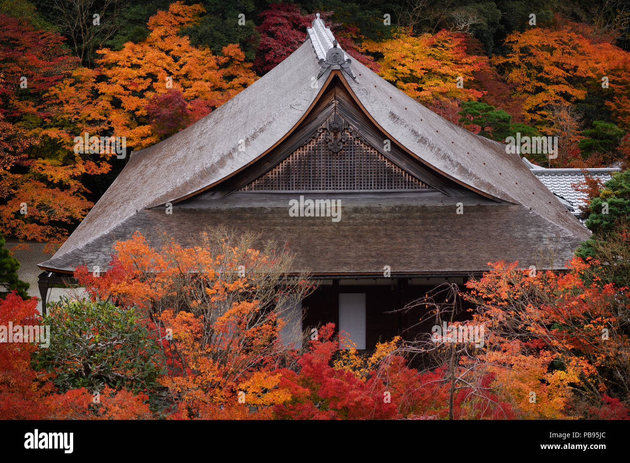 Roof with wooden shingles of a hall building at Nanzen-ji Buddhist temple complex in colorful autumn scenery, traditional Japanese architecture detail Stock Photo