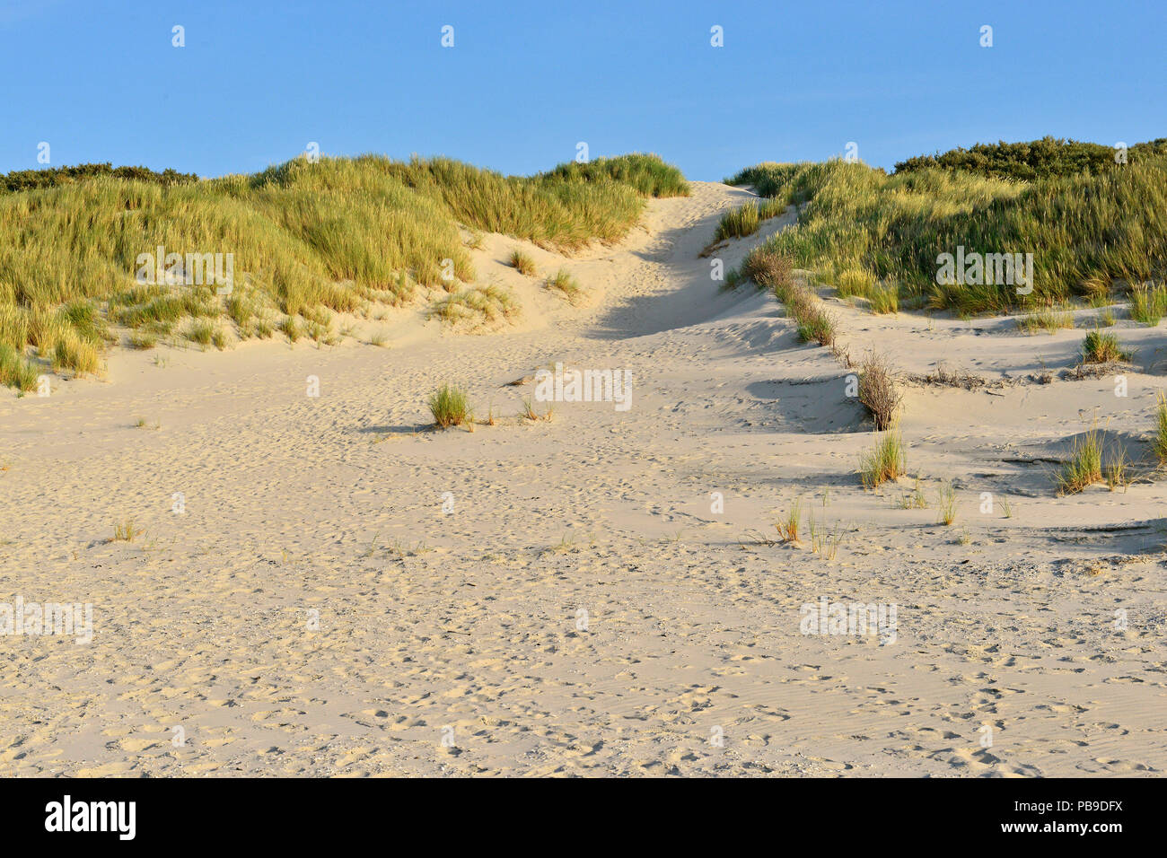 Path with many footprints for over a sandy dune, Juist, Ostfriesische Insel, East Frisia, Lower Saxony, Germany Stock Photo