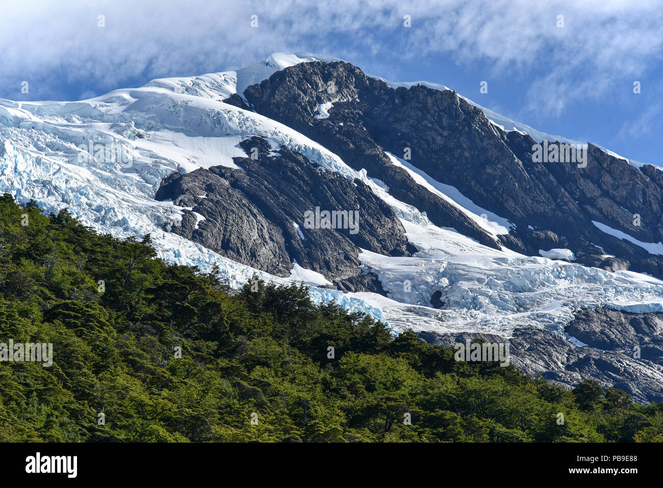 Glacier with forest in Parque Nacional Los Glaciares National Park, Argentina, Patagonia, South America Stock Photo