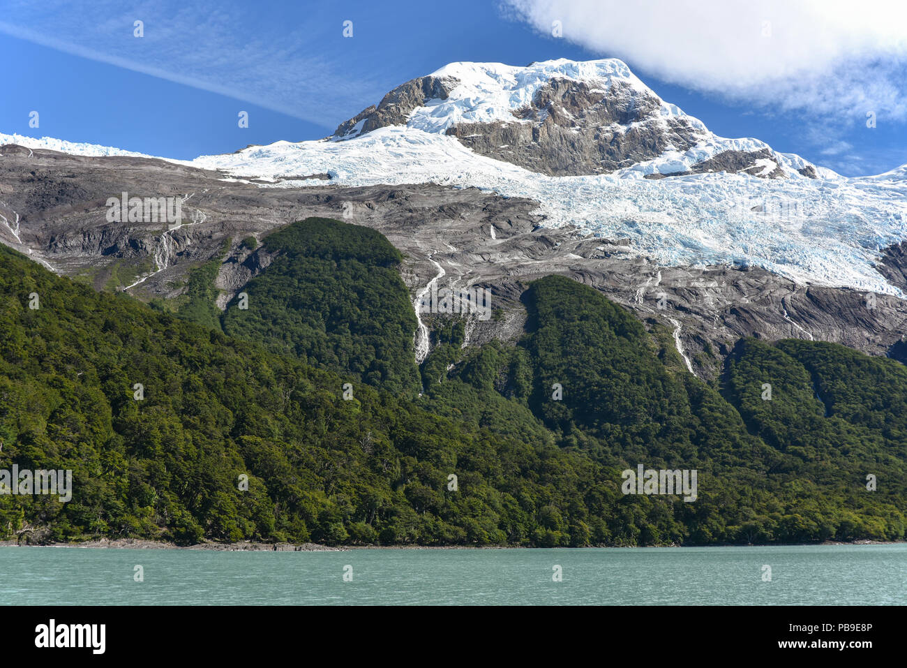 Glacier with forest in Parque Nacional Los Glaciares National Park, Argentina, Patagonia, South America Stock Photo