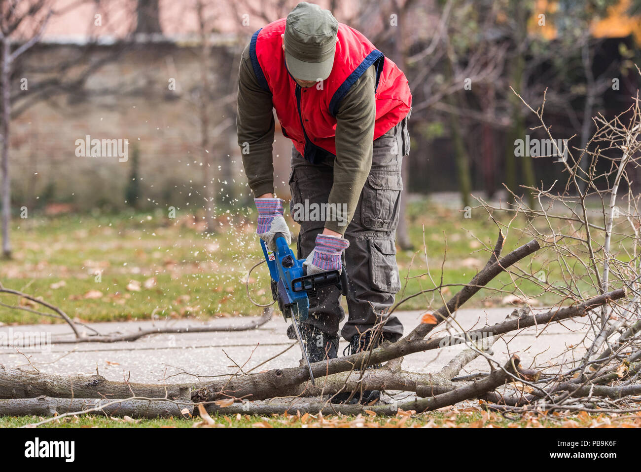 Chainsaw tree ladder man hires stock photography and images Alamy
