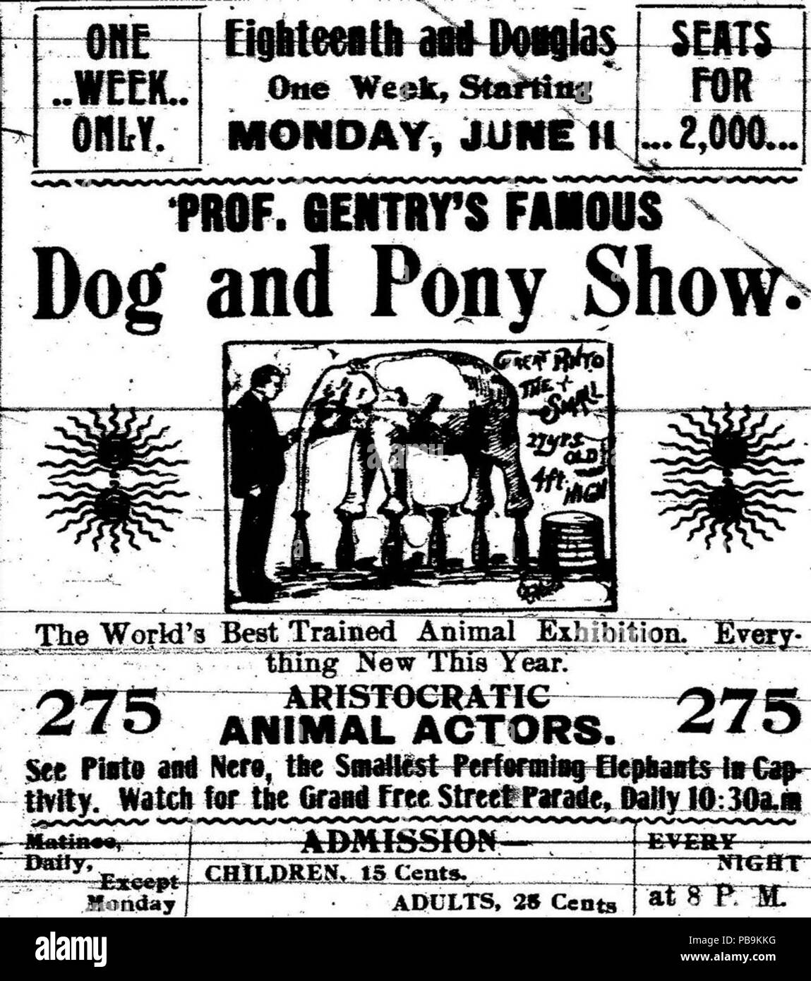 1229 Prof. Gentry's Famous Dog and Pony Show Stock Photo