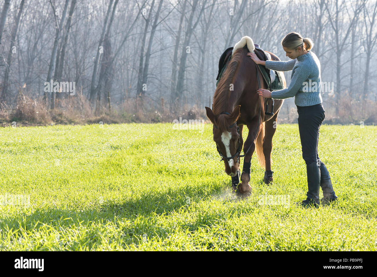 Girl and horse at morning Stock Photo Alamy