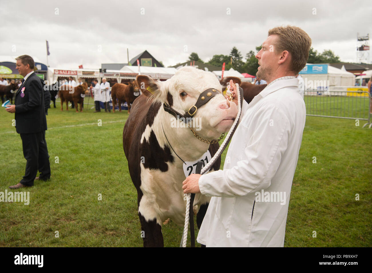 Farmers displaying their prize cattle  at The Royal Welsh Show, the UK's leading agriculture and farming event, held annually at the purpose built show ground at Builth Wells, Powys, Wales Stock Photo