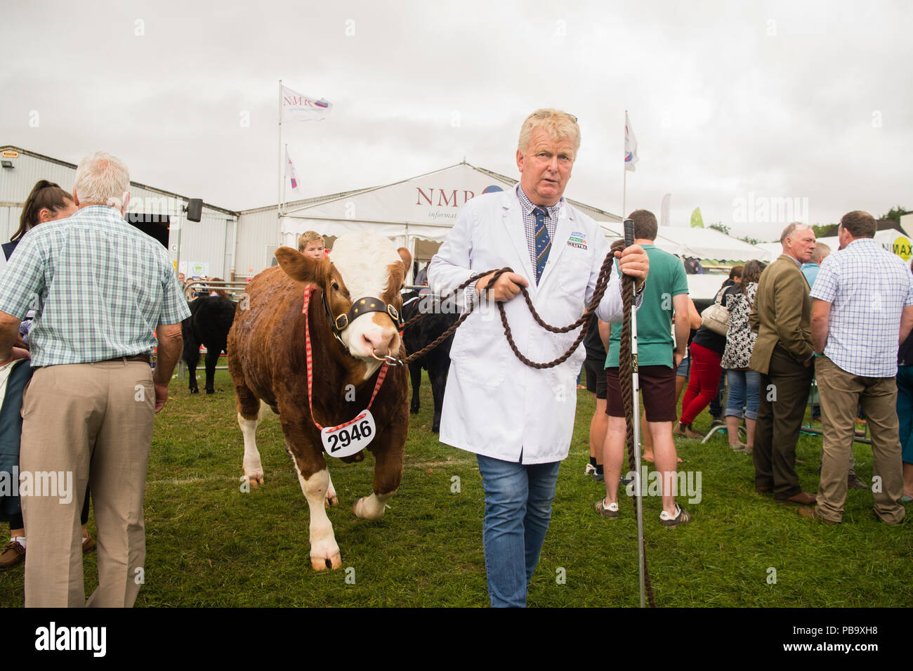 Farmers displaying their prize cattle  at The Royal Welsh Show, the UK's leading agriculture and farming event, held annually at the purpose built show ground at Builth Wells, Powys, Wales Stock Photo