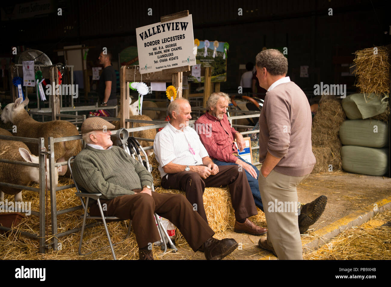 Farmers relaxing with their sheep at The Royal Welsh Show, the UK's leading agriculture and farming event, held annually at the purpose built show ground at Builth Wells, Powys, Wales Stock Photo
